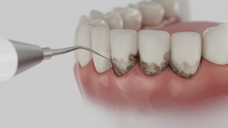 Reliable Dental contractor in Farmerville, LA by Dentist Open Now
